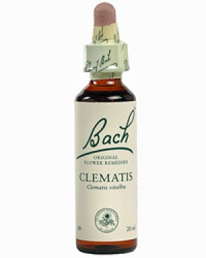 Ainsworths Dr Bach Clematis flower essence 10ml
