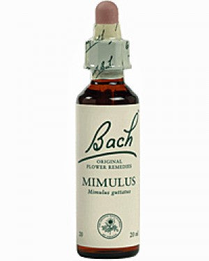 Ainsworths Dr Bach Mimulus flower essence 10ml