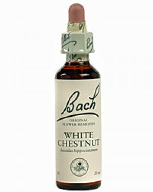 Ainsworths Dr Bach White chestnut flower essence 10ml