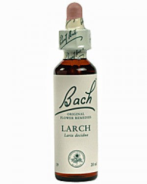 Ainsworths Dr Bach larch flower essence 10ml