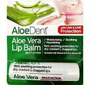 AloeDent lip balm