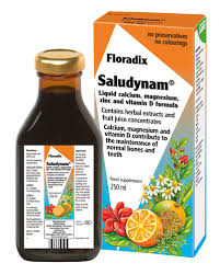 Floradix saludynam 250ml supplement