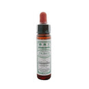 Ainsworth Scleranthus 10ml