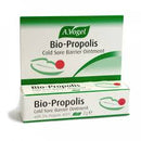 A Vogel Bio-Propolis Lip Care Ointment 2g